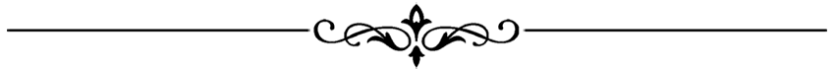 toppng.com-fancy-line-png-850x71